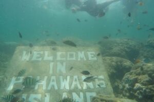 Snorkeling Pahawang Lampung