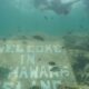 Snorkeling Pahawang Lampung